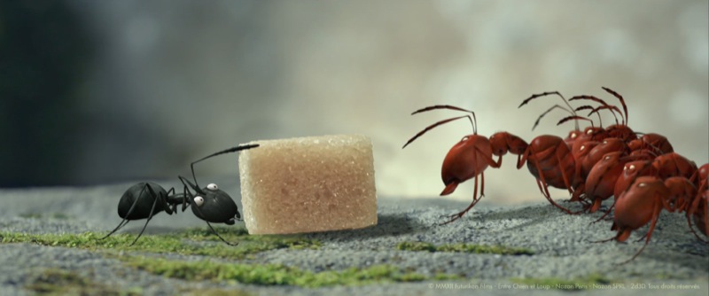 Minuscule - still
