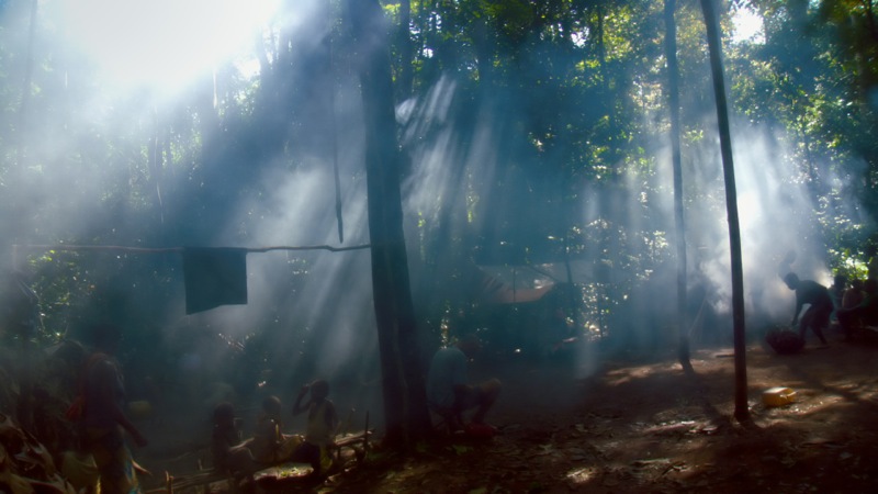 Song from the Forest - still