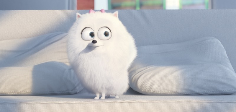 The Secret Life of Pets - still