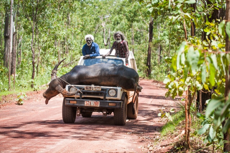 Charlie's Country - still