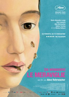 Le meraviglie - poster
