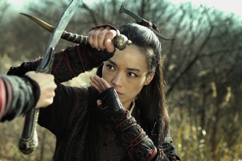 The Assassin - still