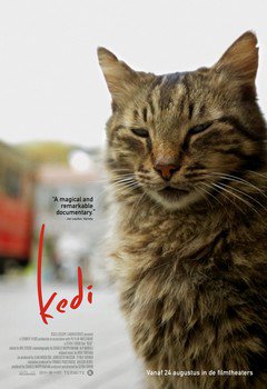 Kedi - poster