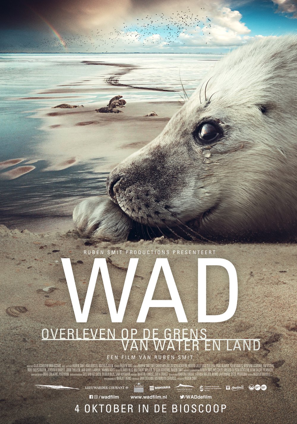 Wad, overleven op de grens van water en land