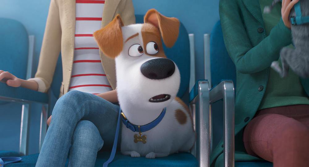 Secret Life Of Pets 2 - still