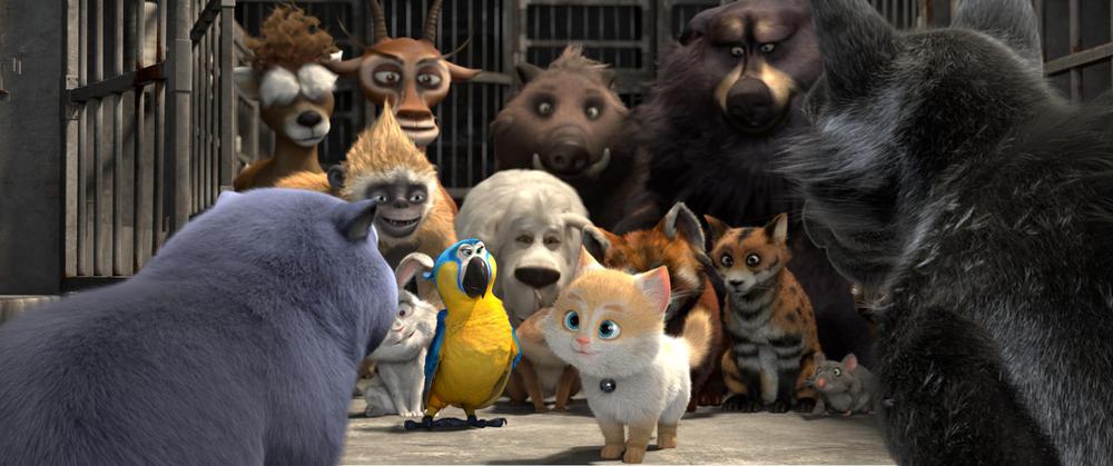 Cats: op zoek naar Kattopia - still