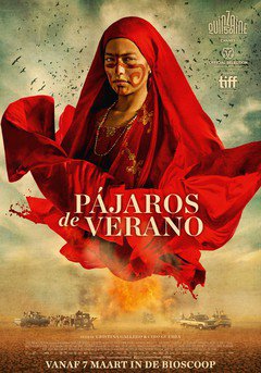 Pájaros de verano - poster
