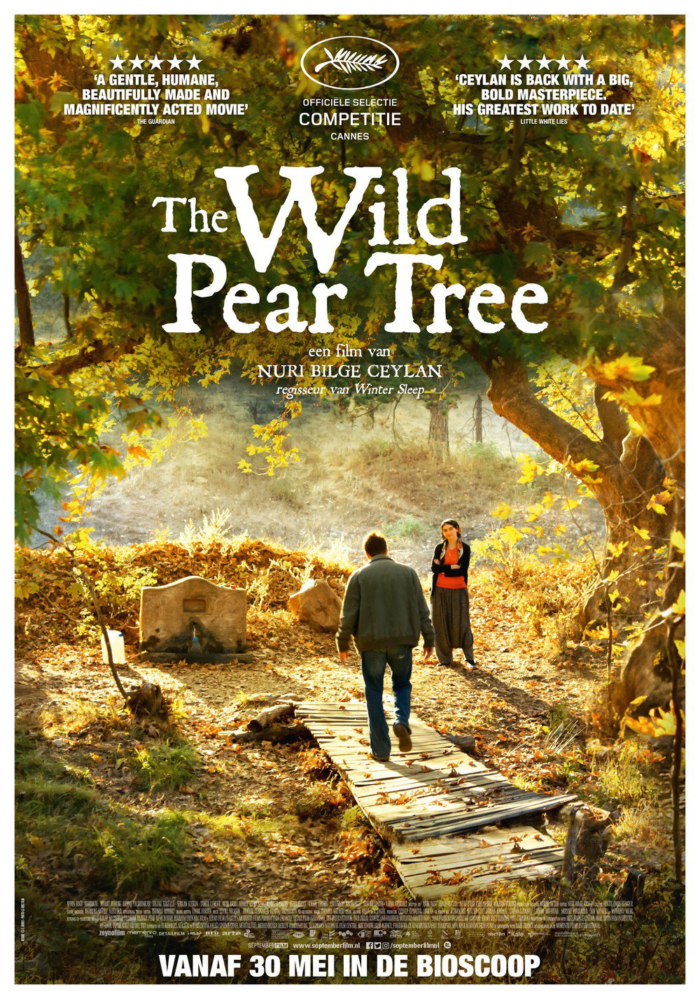 The Wild Pear Tree