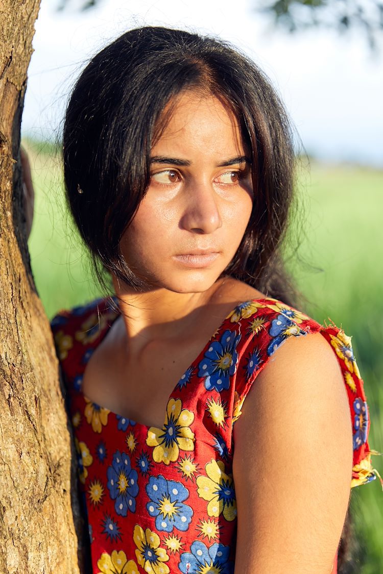 Bulbul Can Sing - still