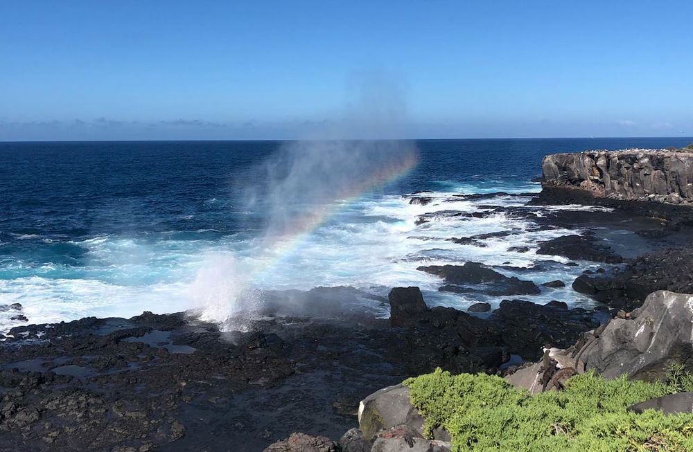 Galapagos: Hope For The Future - still