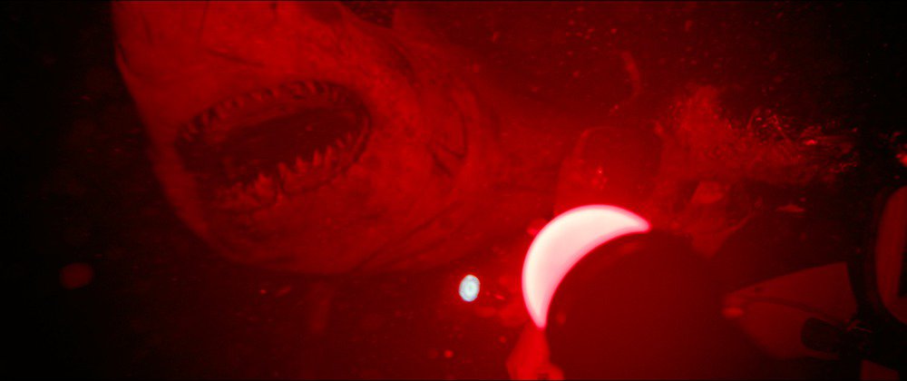 47 Meters down: Uncaged - still