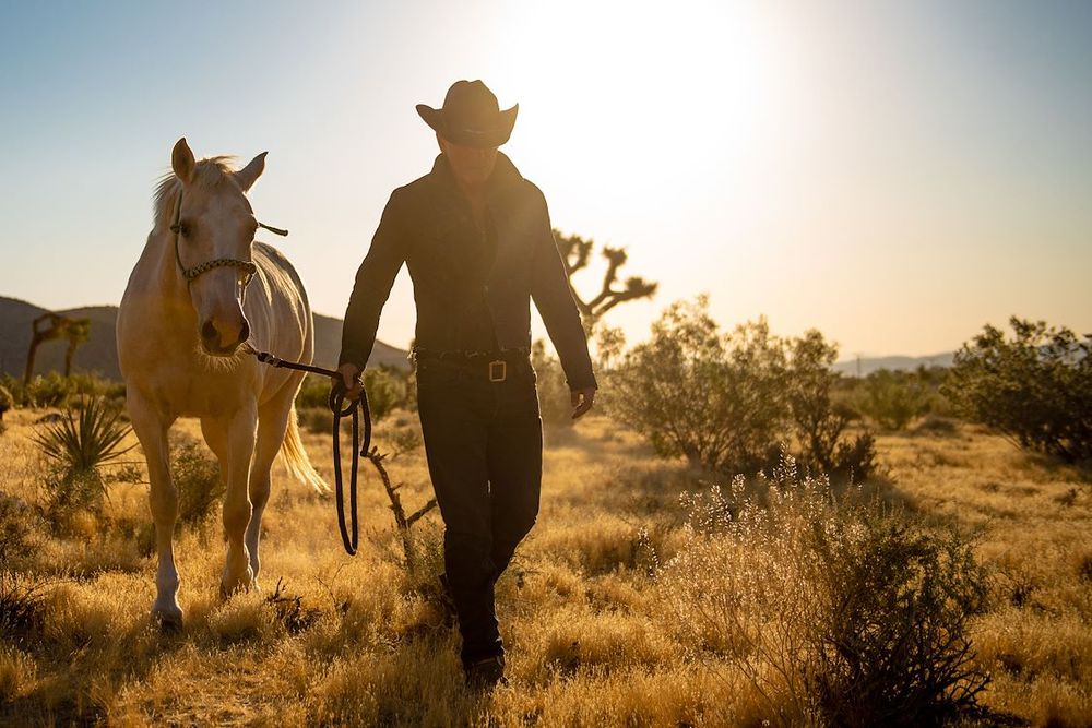 Western Stars - still