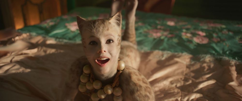 Cats - still