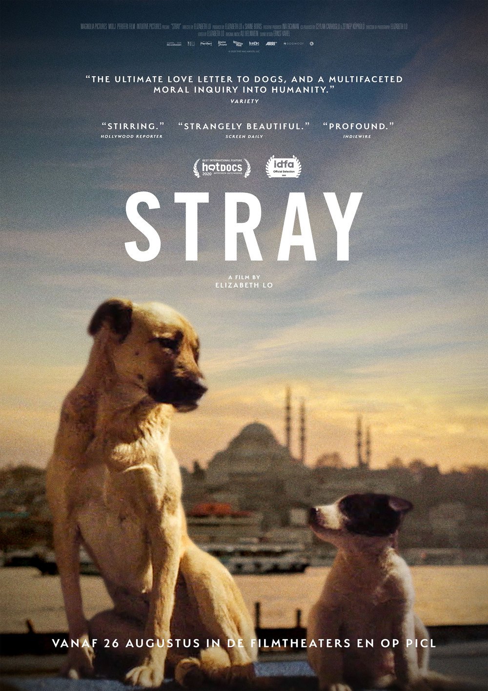 Stray