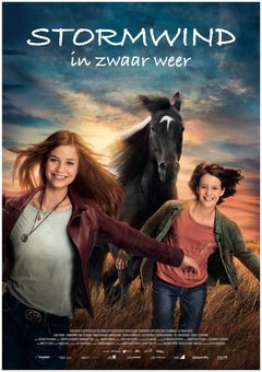 Stormwind - in zwaar weer - poster
