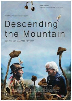 Descending the Mountain - poster