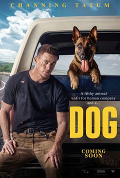 Dog - poster