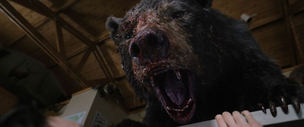Cocaine Bear - still