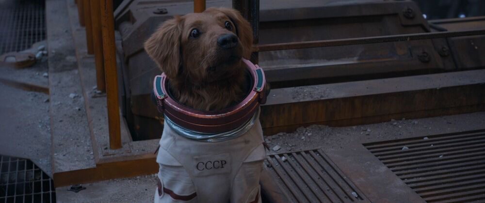 Guardians of the Galaxy Vol. 3 - still