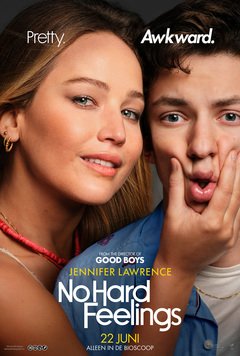 No Hard Feelings - poster