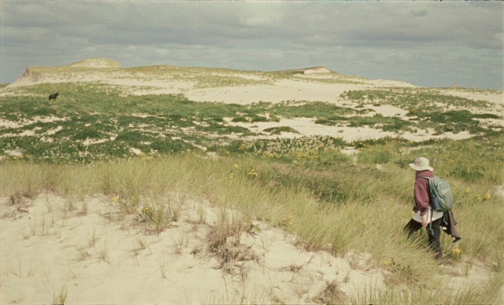 Geographies of Solitude - still