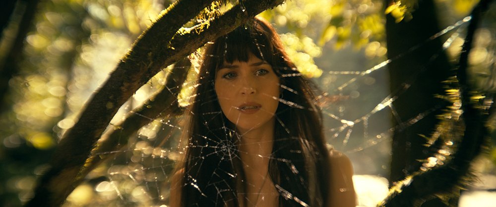 Madame Web - still