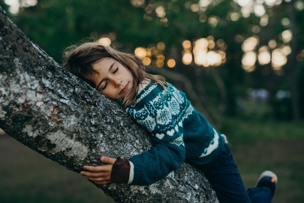 A New Kind of Wilderness