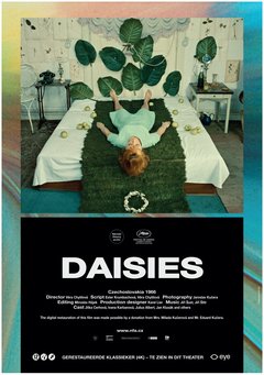 Daisies