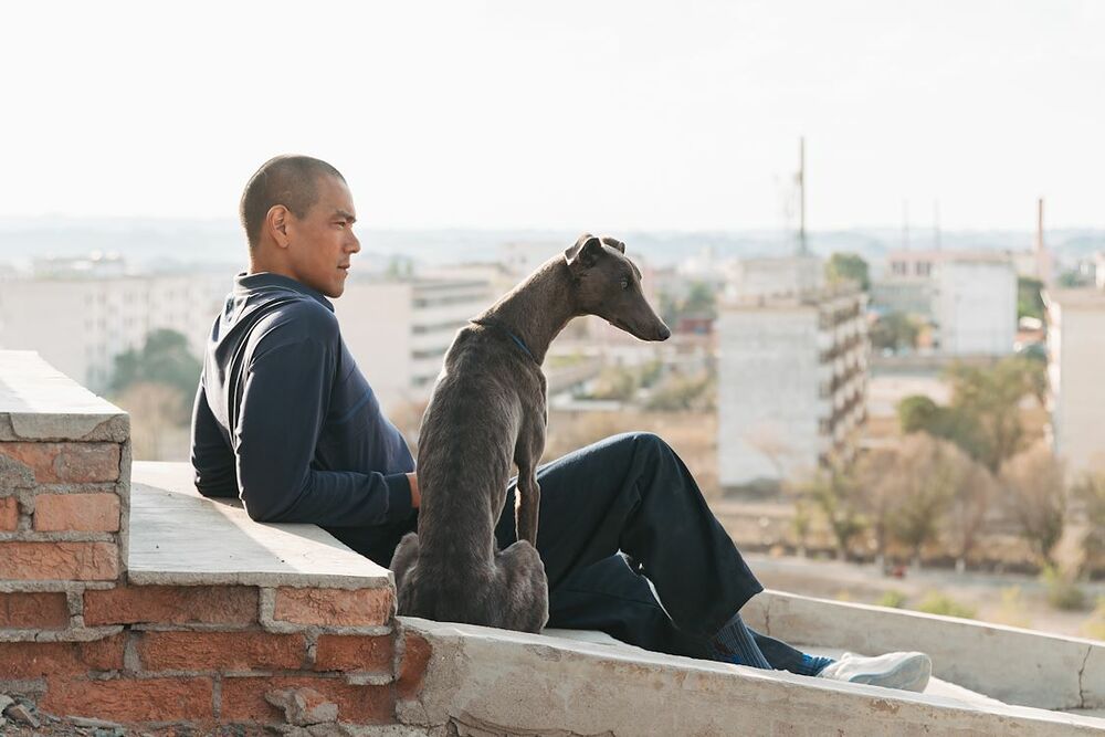 Black Dog - still