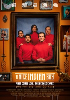 A Nice Indian Boy - poster