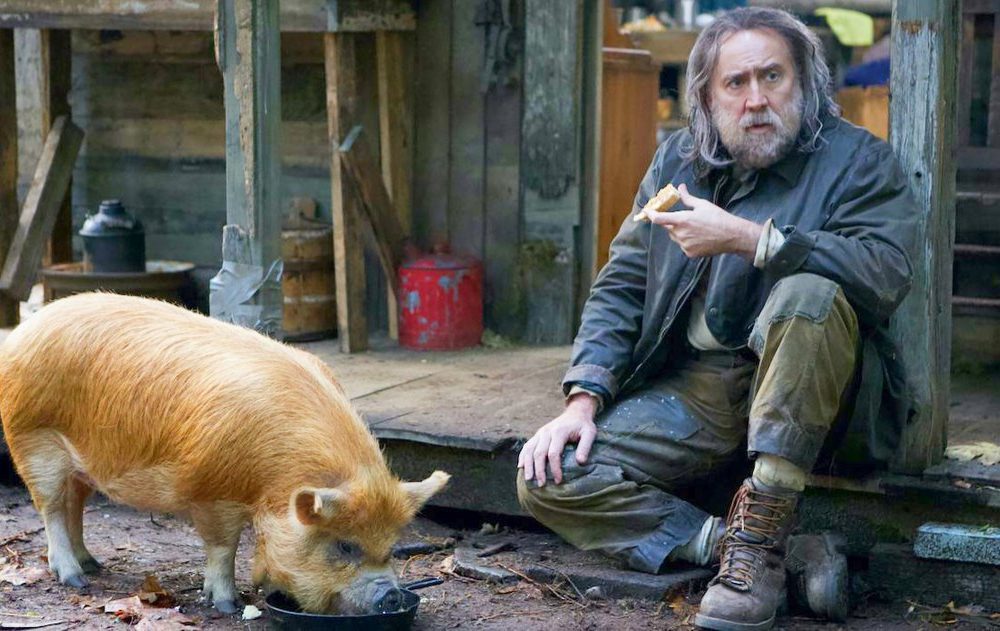 Pig - still