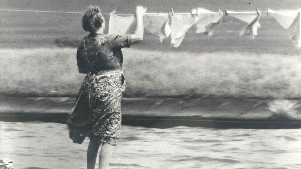 Alleman - still