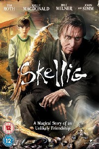 De schaduw van Skellig