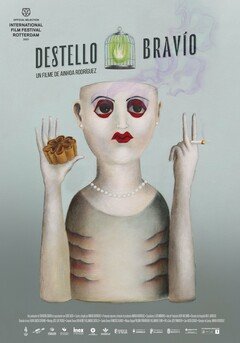 Destello bravío - poster