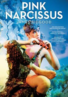 Pink Narcissus - poster