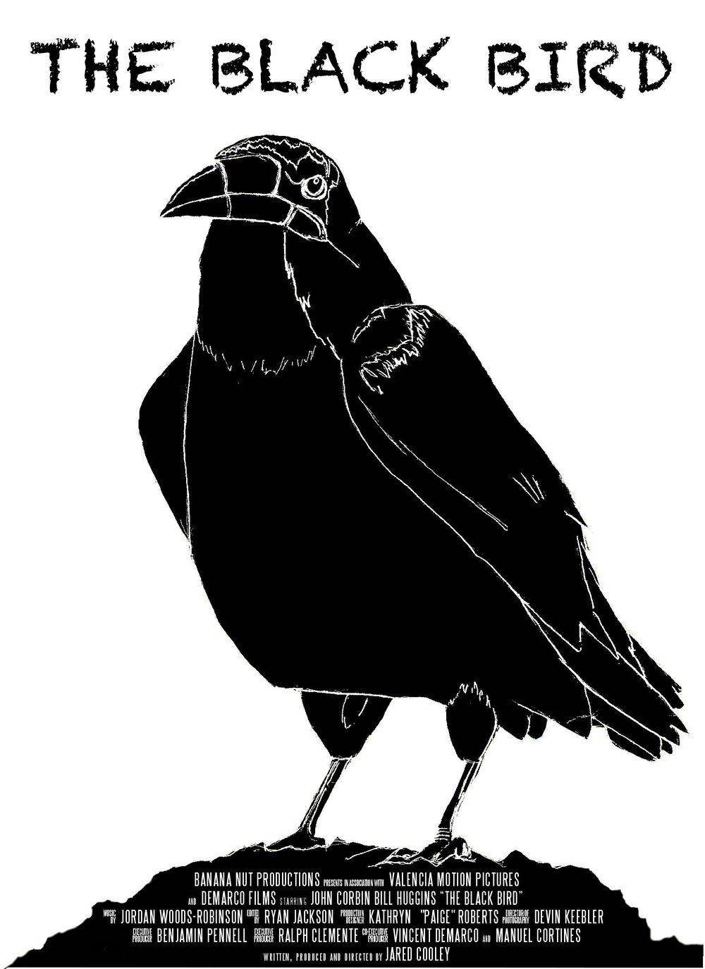 The Black Bird