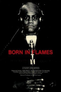 Born in Flames - poster