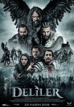 Deliler - poster