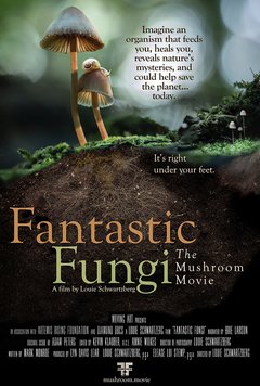 Fantastic Funghi - poster