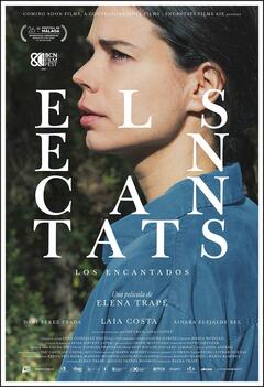 Els encantats - poster