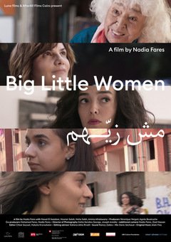 Big Little Women - poster