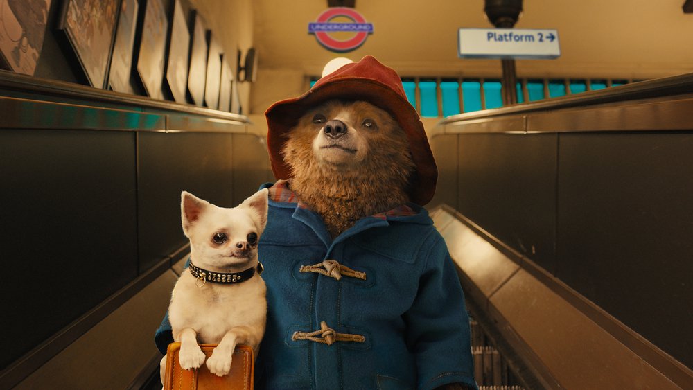 Paddington (NL) - still