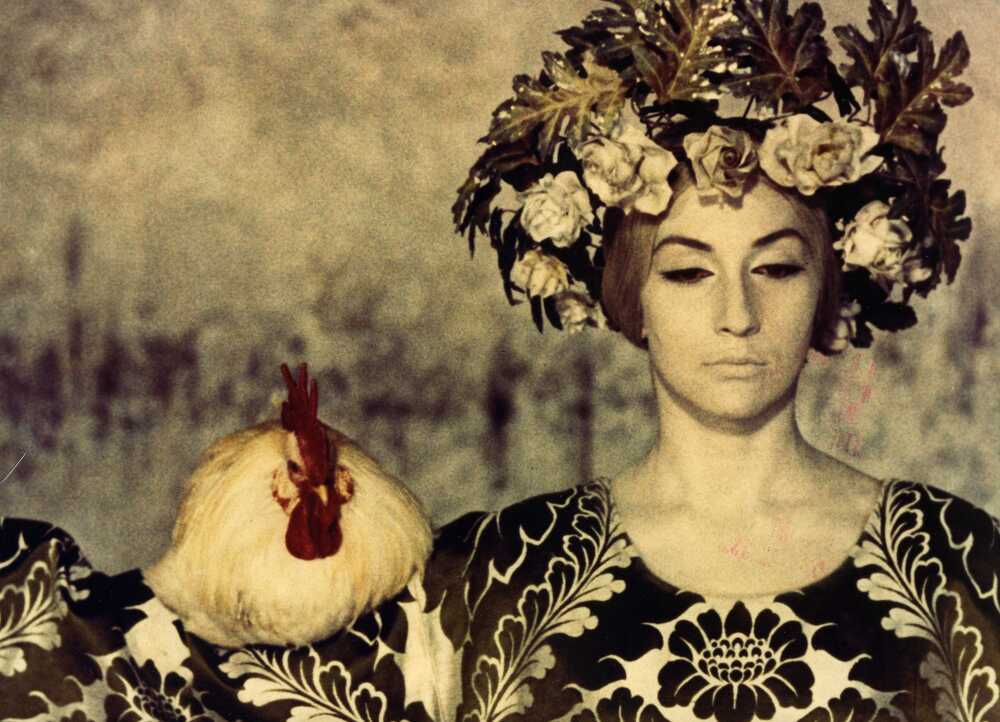 The Color of Pomegranates - still