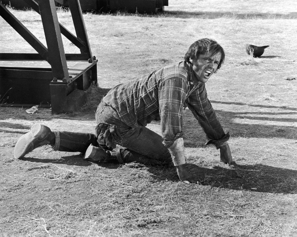 Five Easy Pieces - still