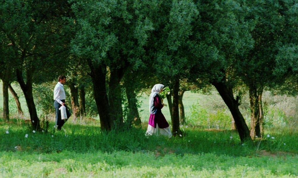 Through the Olive Trees - still