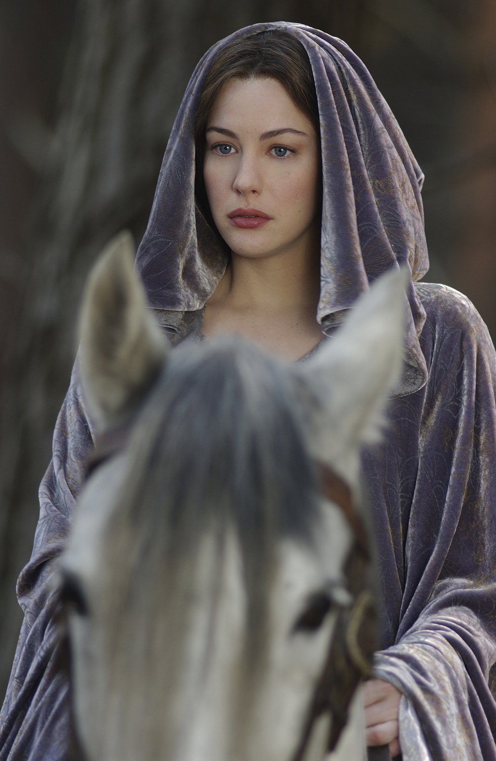 The Lord of the Rings: The Return of the King - still