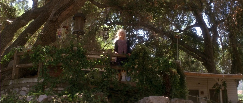 Donnie Darko - still