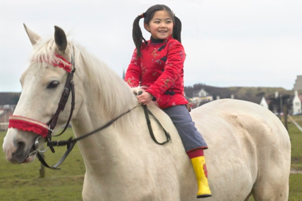 Het paard van Sinterklaas - still