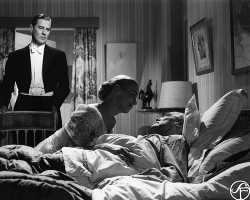 Wild Strawberries - still