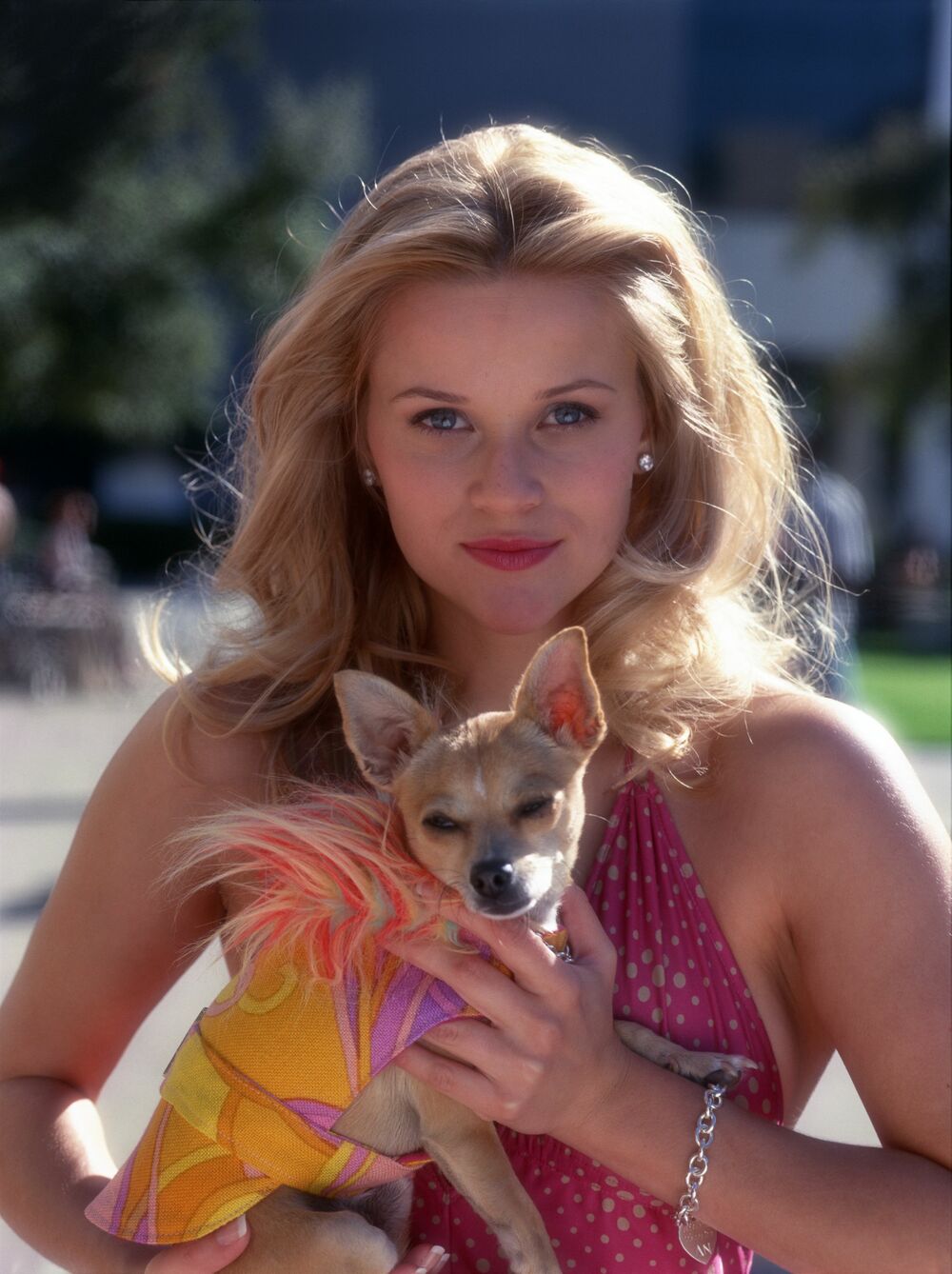Legally Blonde - still